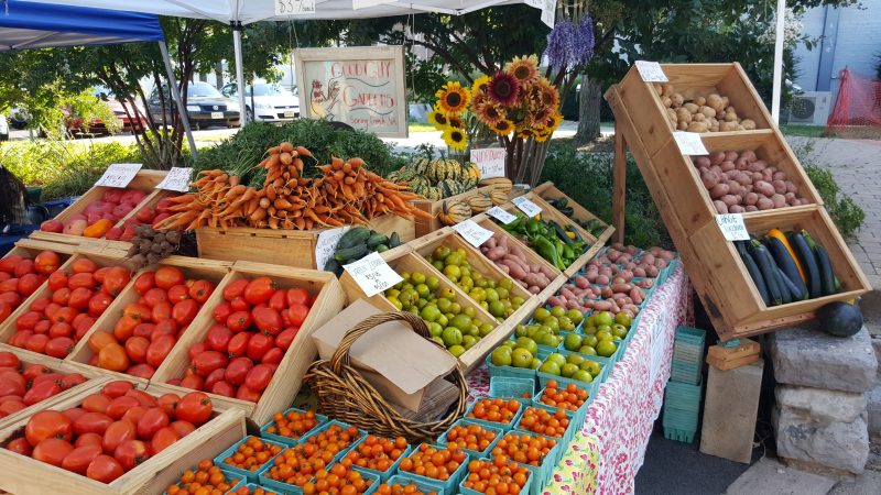 Farmers Market Stand
